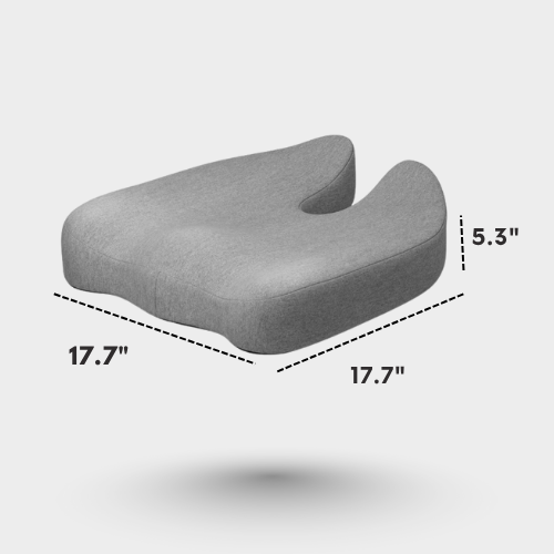 MyErgonomy Elite Posture Combo