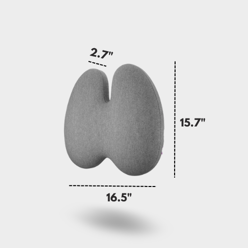 MyErgonomy Elite Posture Combo