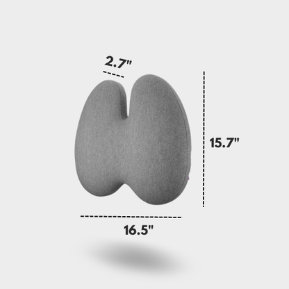 MyErgonomy Elite Posture Combo