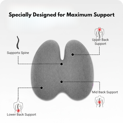 MyErgonomy Elite Posture Combo