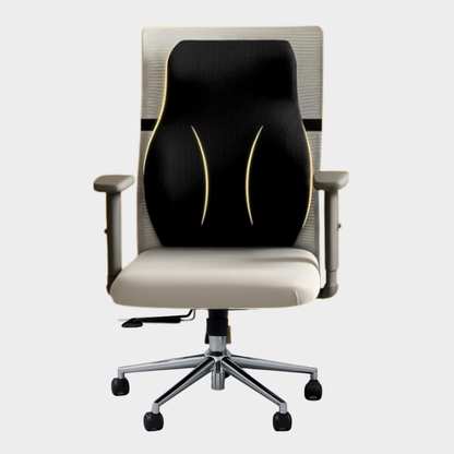 MyErgonomy Align Pro Car Back Cushion