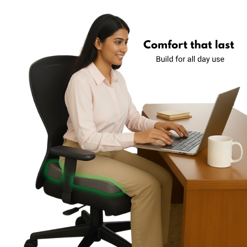 MyErgonomy Posture Support Cushion.