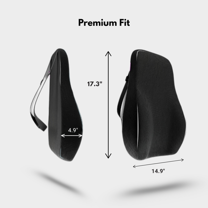 MyErgonomy Align Pro Car Back Cushion