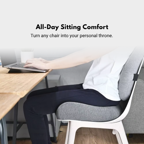 MyErgonomy Elite Posture Combo