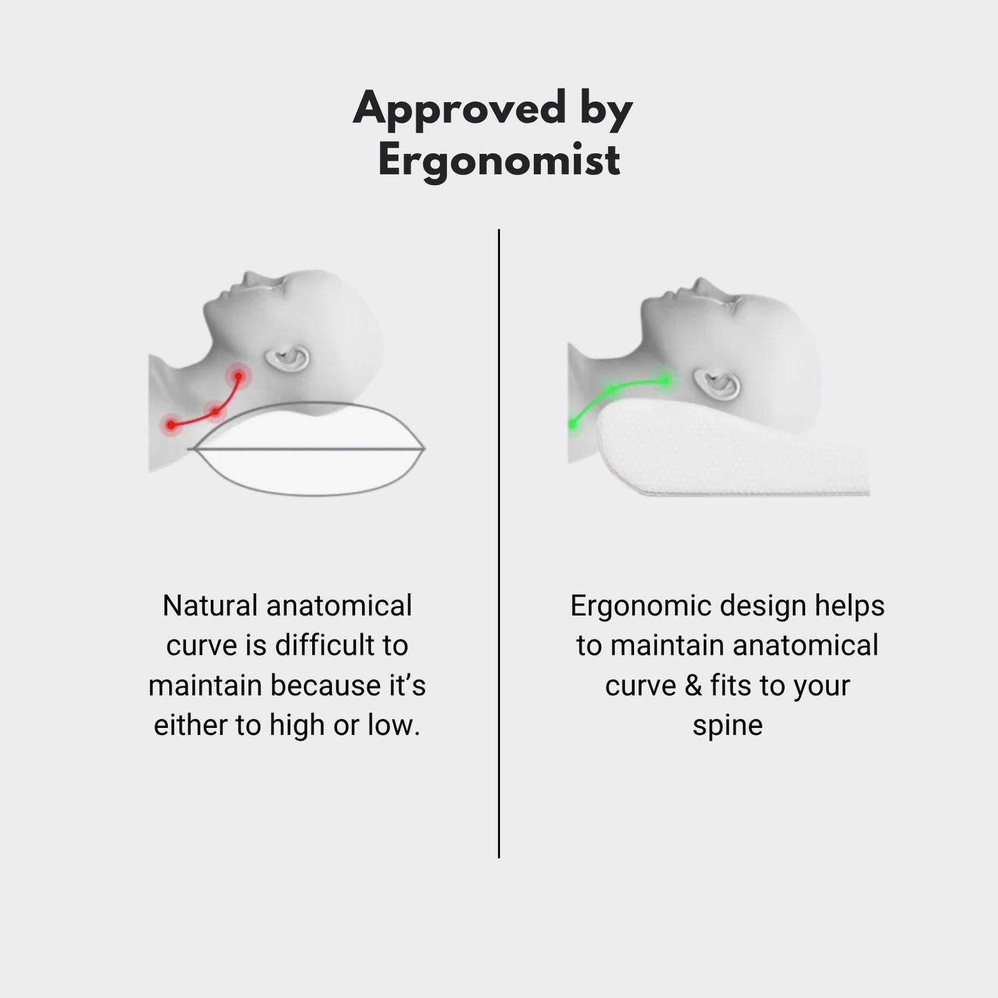 MyErgonomy Neck Ease Contour Pillow